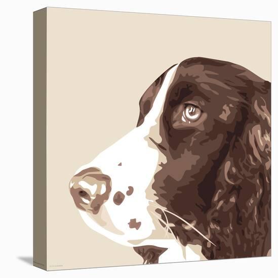 Springer Spaniel-Emily Burrowes-Stretched Canvas