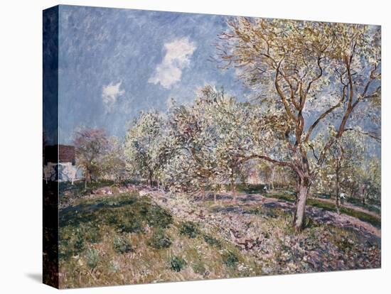 Springtime at Veneux, 1880-Eugène Boudin-Premier Image Canvas