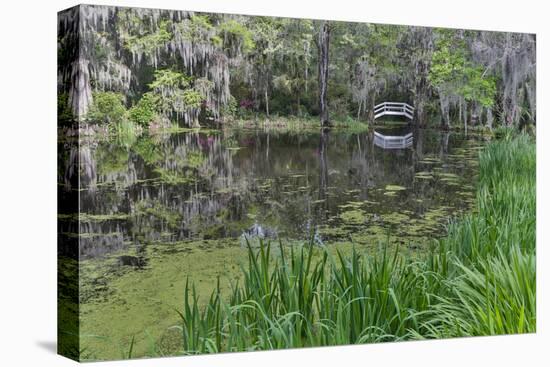 Springtime azalea blooming, Charleston, South Carolina, with white arched bridge.-Darrell Gulin-Premier Image Canvas