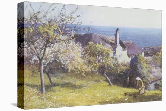 Springtime, Devon-John White-Premier Image Canvas