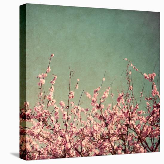 Springtime I-Susan Bryant-Premier Image Canvas