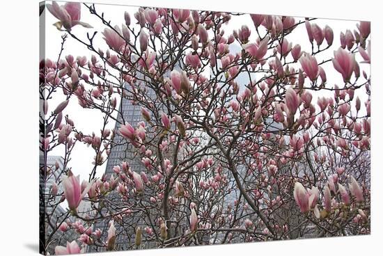 Springtime in New York-Erin Clark-Stretched Canvas