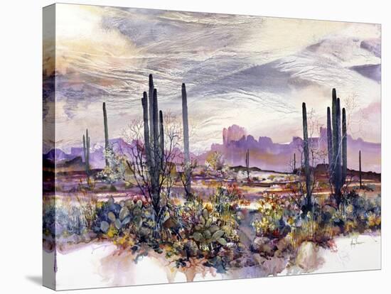 Springtime in the Desert-Adin Shade-Stretched Canvas