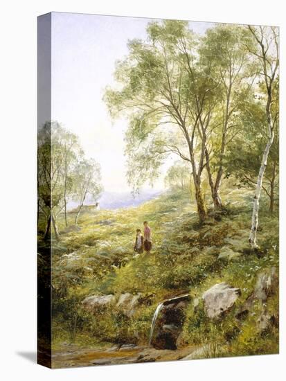 Springtime in Wales-Benjamin Williams Leader-Premier Image Canvas