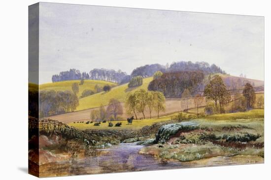 Springtime near Marden, Surrey, England-John Brett-Premier Image Canvas