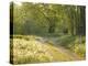 Springtime Path in the Countryside, Mantova/Mantua, Italy-Michele Molinari-Premier Image Canvas