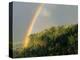 Springtime Rainbow Arching Over Vista House on Crown Point-Steve Terrill-Premier Image Canvas