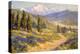 Springtime San Gabriel Valley-Benjamin Chambers-Stretched Canvas