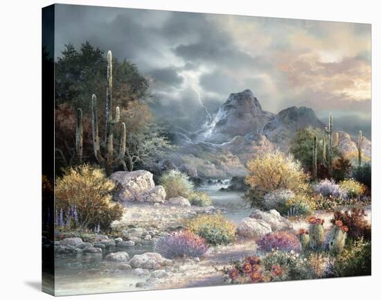 Springtime Valley-James Lee-Stretched Canvas