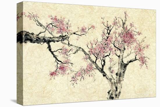 Springtime-Nan Rae-Stretched Canvas