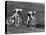Sprint Cyclists-null-Premier Image Canvas