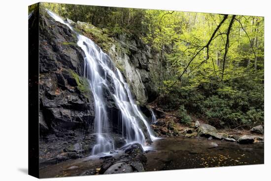 Spruce Flat Falls at Morning-Danny Head-Premier Image Canvas