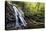 Spruce Flat Falls at Morning-Danny Head-Premier Image Canvas