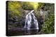 Spruce Flat Falls-Danny Head-Premier Image Canvas