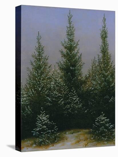 Spruce Forest in Snow (Dresdner Heide I.), ca. 1828-Caspar David Friedrich-Premier Image Canvas