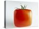 Square Tomato-Cordelia Molloy-Premier Image Canvas