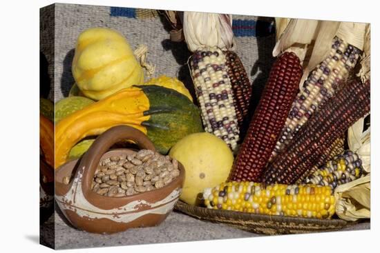 Squash, Corn, and Beans: the Three Sisters of Native American Agriculture-null-Premier Image Canvas