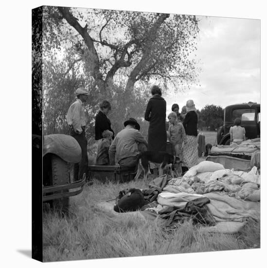 Squatters along highway near Bakersfield, California, 1935-Dorothea Lange-Premier Image Canvas