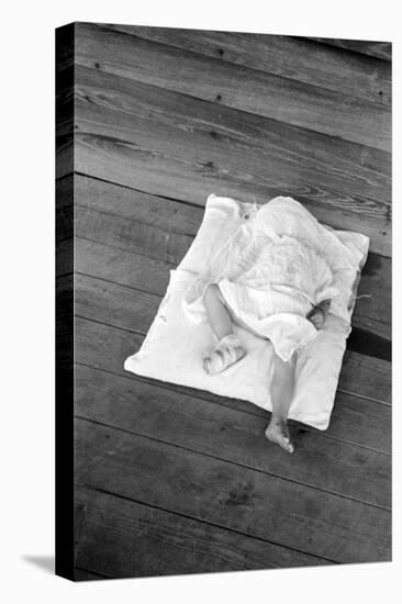 Squeakie asleep in Hale County, Alabama, 1936-Walker Evans-Premier Image Canvas