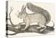 Squirrel, 1850 (Engraving)-Louis Simon (1810-1870) Lassalle-Premier Image Canvas