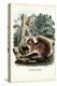 Squirrel, 1863-79-Raimundo Petraroja-Premier Image Canvas