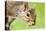 Squirrel Close Up-rekemp-Premier Image Canvas