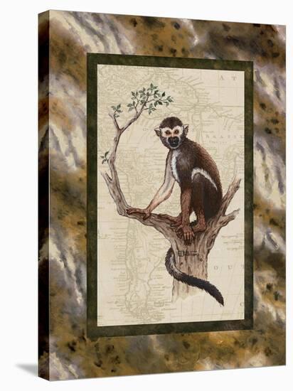 Squirrel Monkey-Janet Kruskamp-Stretched Canvas