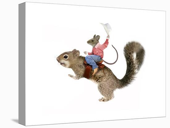 Squirrel Rodeo-J Hovenstine Studios-Premier Image Canvas
