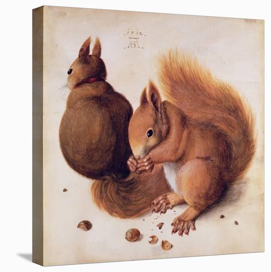 Squirrels, 1512-Albrecht Dürer-Premier Image Canvas