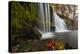 Sqwd Ddwli Waterfall, Near Pontneddfechan, Afon Pyrddin, Powys, Brecon Beacons National Park, Wales-Billy Stock-Premier Image Canvas