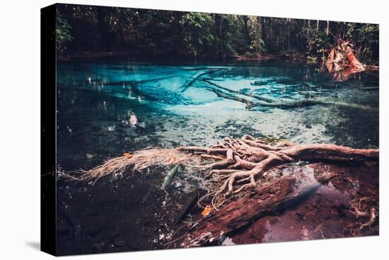 Sra Morakot Blue Pool at Krabi Province, Thailand. Clear Emerald Pond in Tropical Forest. the Roots-goinyk-Premier Image Canvas