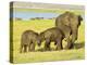 Sri Lankan Elephant (Elephas Maximus Maximus), Minneriya National Park, Sri Lanka, Asia-Jochen Schlenker-Premier Image Canvas