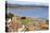 St. Andrews Castle and West Sands from St. Rules Tower at St. Andrews Cathedral-Mark Sunderland-Premier Image Canvas