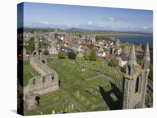 St. Andrews Cathedral, Fife, Scotland, United Kingdom, Europe-Richard Maschmeyer-Premier Image Canvas