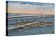 St. Augustine, FL - View of Bridge of Lions & Ocean-Lantern Press-Stretched Canvas