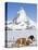 St. Bernard Dog and Matterhorn From Atop Gornergrat, Switzerland, Europe-Michael DeFreitas-Premier Image Canvas