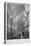 St Bride's Church, Fleet Street, City of London, 1839-T Turnbull-Premier Image Canvas