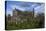 St. Canice's Cathedral, Kilkenny, County Kilkenny, Leinster, Republic of Ireland, Europe-Carsten Krieger-Premier Image Canvas