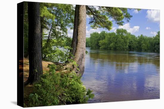 St. Croix River Shoreline-Steven Gaertner-Premier Image Canvas