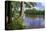 St. Croix River Shoreline-Steven Gaertner-Premier Image Canvas