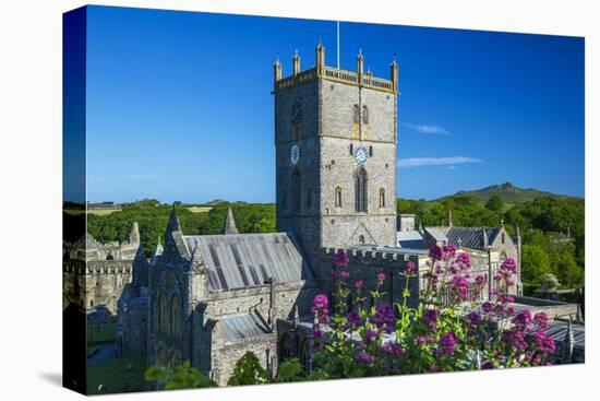 St. Davids Cathedral, Pembrokeshire, Wales, United Kingdom-Billy Stock-Premier Image Canvas