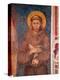 St. Francis (Detail)-Cimabue-Premier Image Canvas