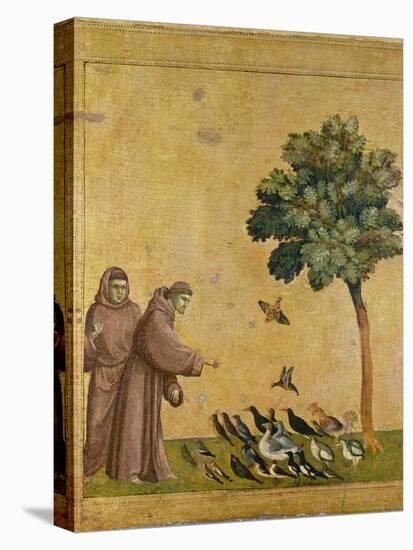 St. Francis of Assisi preaching to the birds. Ca. 1295-1300 (Predella, see also Image ID 19398)-null-Premier Image Canvas