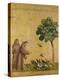 St. Francis of Assisi preaching to the birds. Ca. 1295-1300 (Predella, see also Image ID 19398)-null-Premier Image Canvas