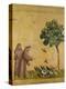 St. Francis of Assisi Preaching to the Birds-Giotto di Bondone-Premier Image Canvas
