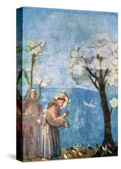 St Francis Preaching to the Birds, 1297-1299, (C1900-192)-Giotto-Premier Image Canvas