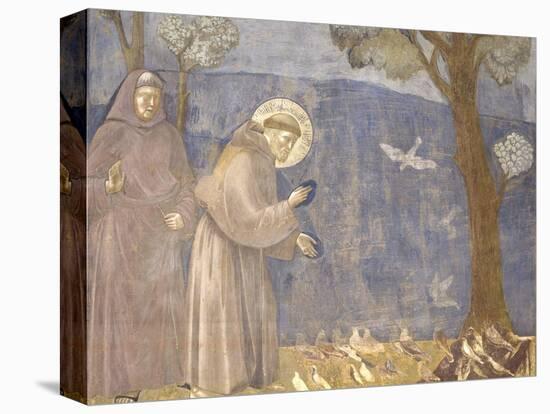 St. Francis Preaching to the Birds-Giotto-Stretched Canvas