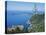 St Jean Cap Ferrat, Cote D'Azur, France-Roy Rainford-Premier Image Canvas