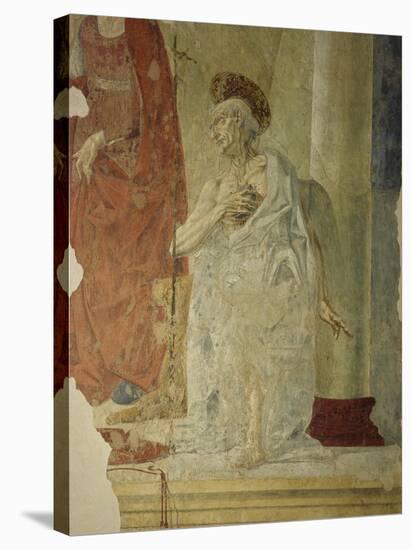 St Jerome, Attributed to Andrea Del Verrocchio Collaborators-null-Premier Image Canvas