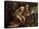 St. Jerome, Early 1560S-Jacopo Bassano-Premier Image Canvas